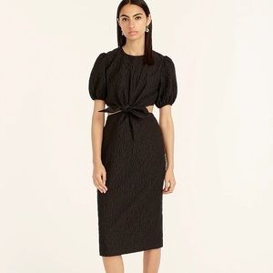 J. Crew Collection Cutout Dress in Textured Organza